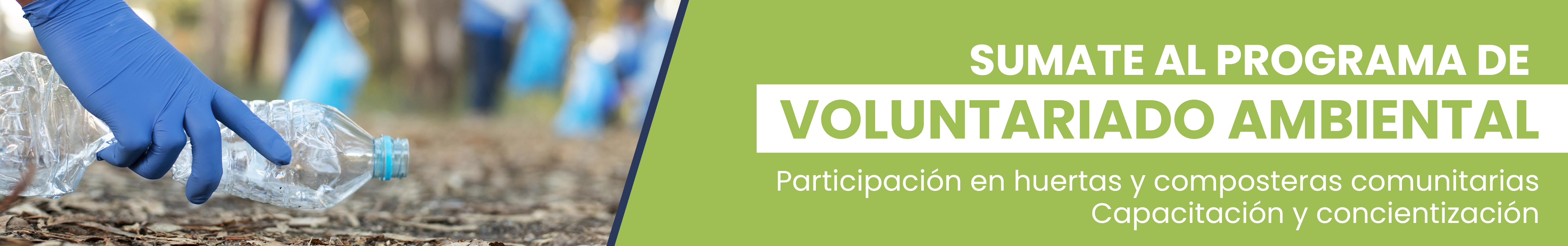 programa de voluntariado ambiental